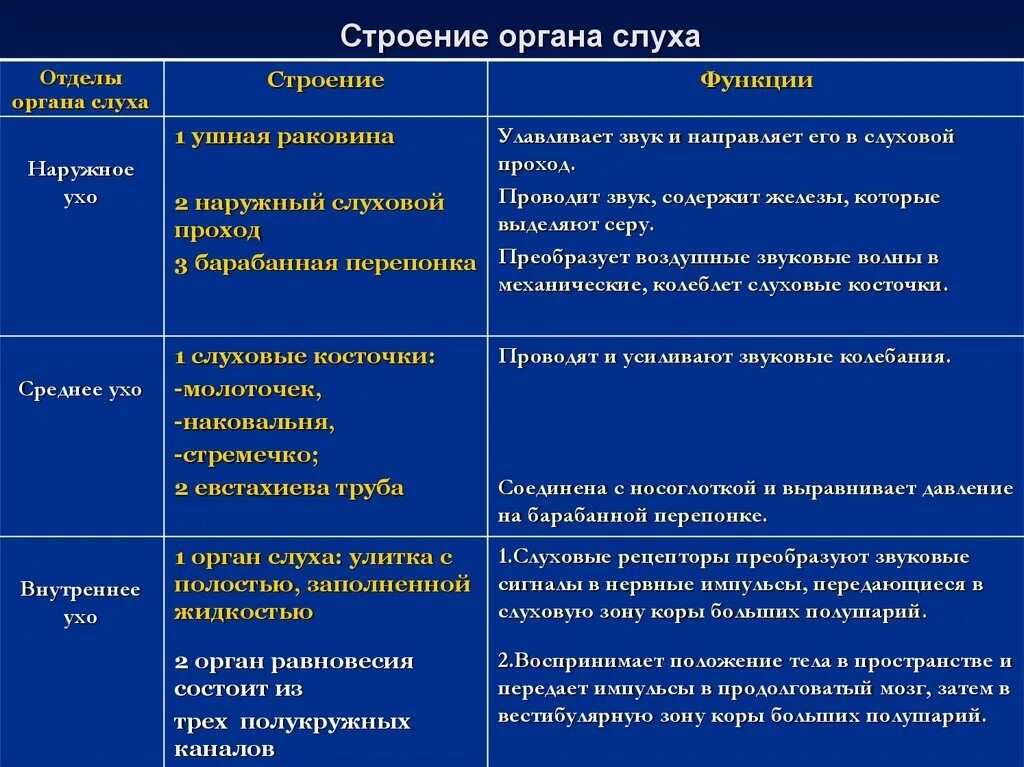 Строение слухового аппарата таблица. Строение слухового аппарата таблица. Строение и функции уха таблица. Строение слухового аппарата таблица. Строение и функции слухового анализатора таблица.