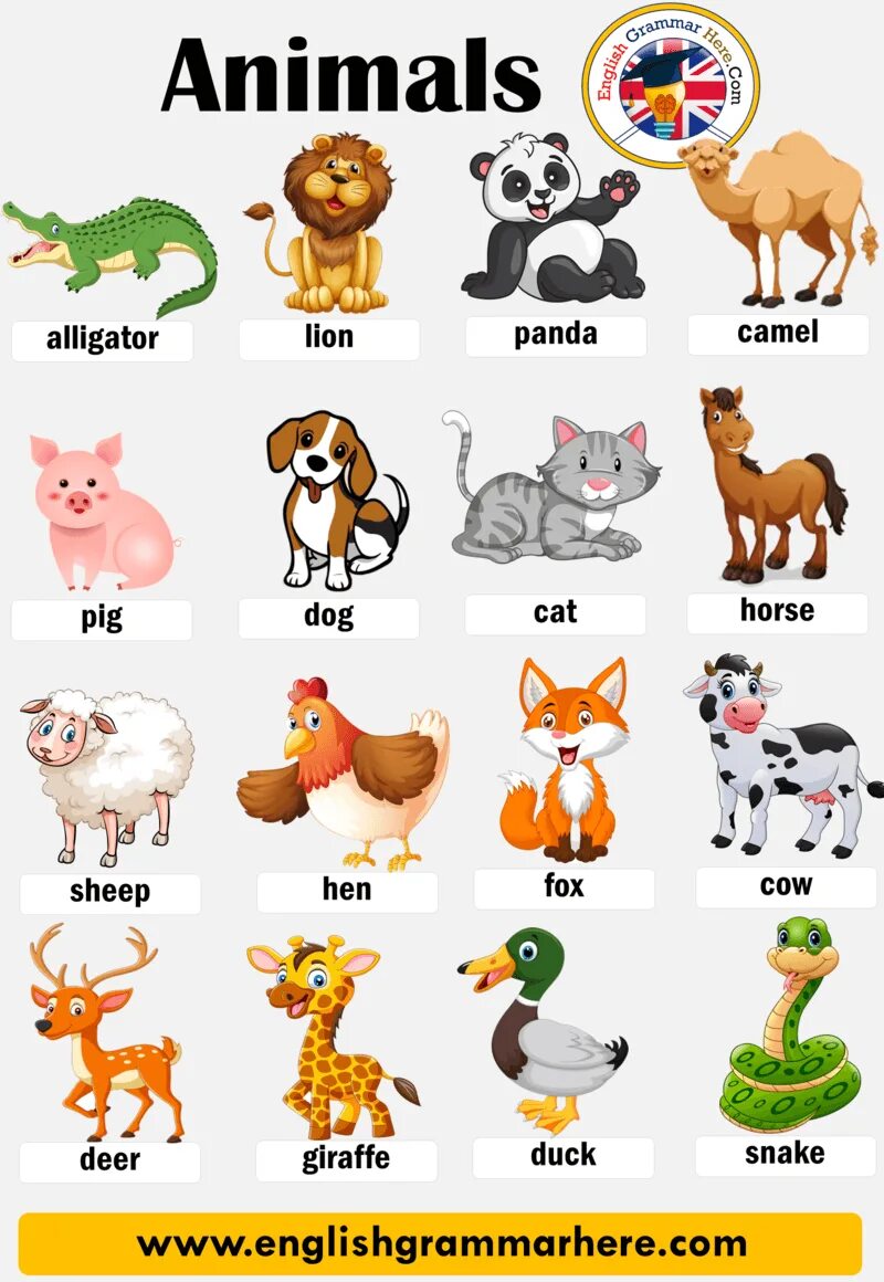 English Animals names; Panda Hippo Gorilla Giraffe Tiger Cheetah Horse Lion Came