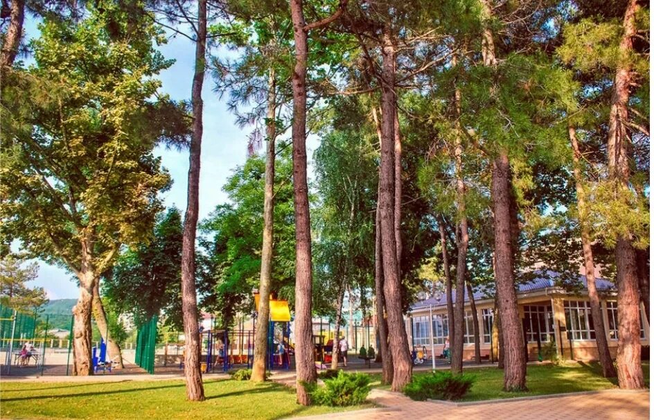 Курорт Дивноморское в Геленджике , пансионат Приморский фото - Picture of Primor