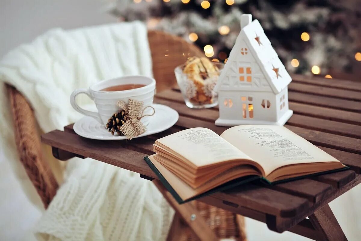 Рождественские подарки. Книга в подарок. Booking year. Зимниек каникулы с книгой. Booking year.