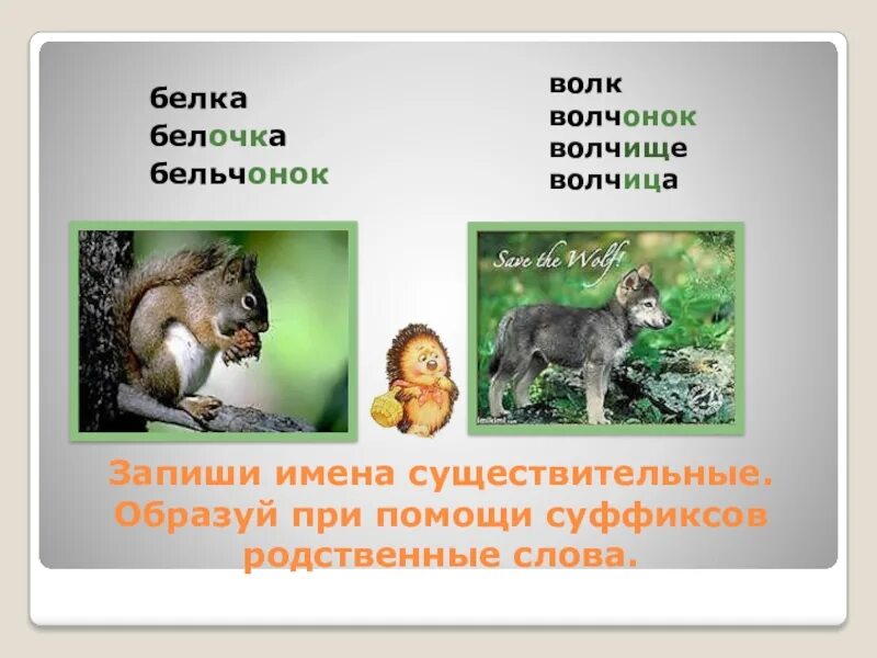 Волк новое слово. Родственные слова волк. Родственные слова к слову волк. Волк родственные слова с разными суффиксами существительные. Белка с суффиксами.