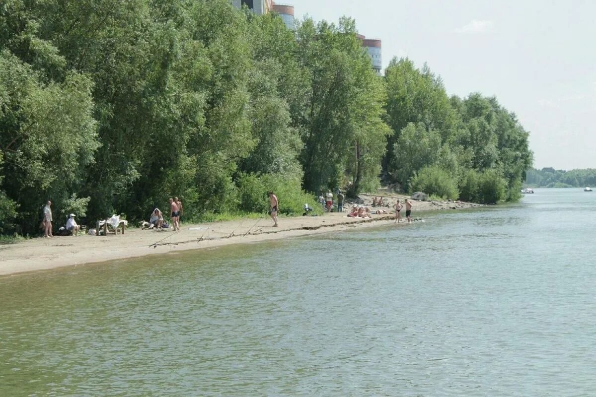 Бердский залив Новосибирск пляж. Бердский залив Обское море. Бердский залив пляж. Бердский пляж в Новосибирске. Обь отдых