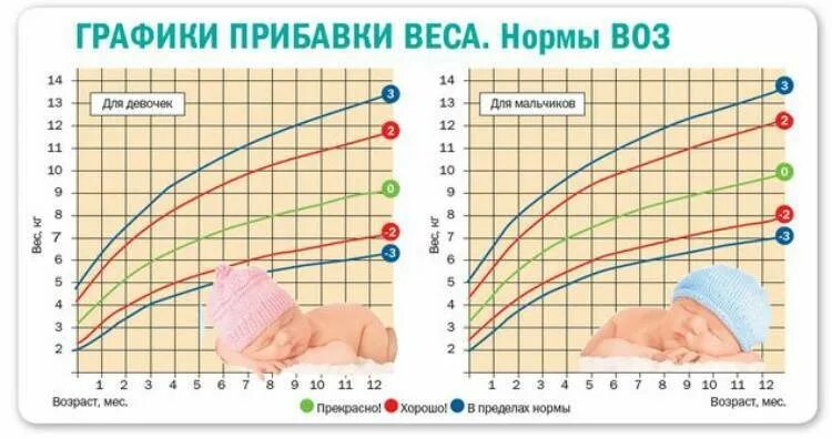 Вес ребенка до года. Таблица прибавки веса у грудничков по месяцам у девочек до года. Норма прибавки веса у новорожденных по месяцам таблица. Норма прибавки веса новорожденного. Норма прибавки по месяцам у новорожденных воз.