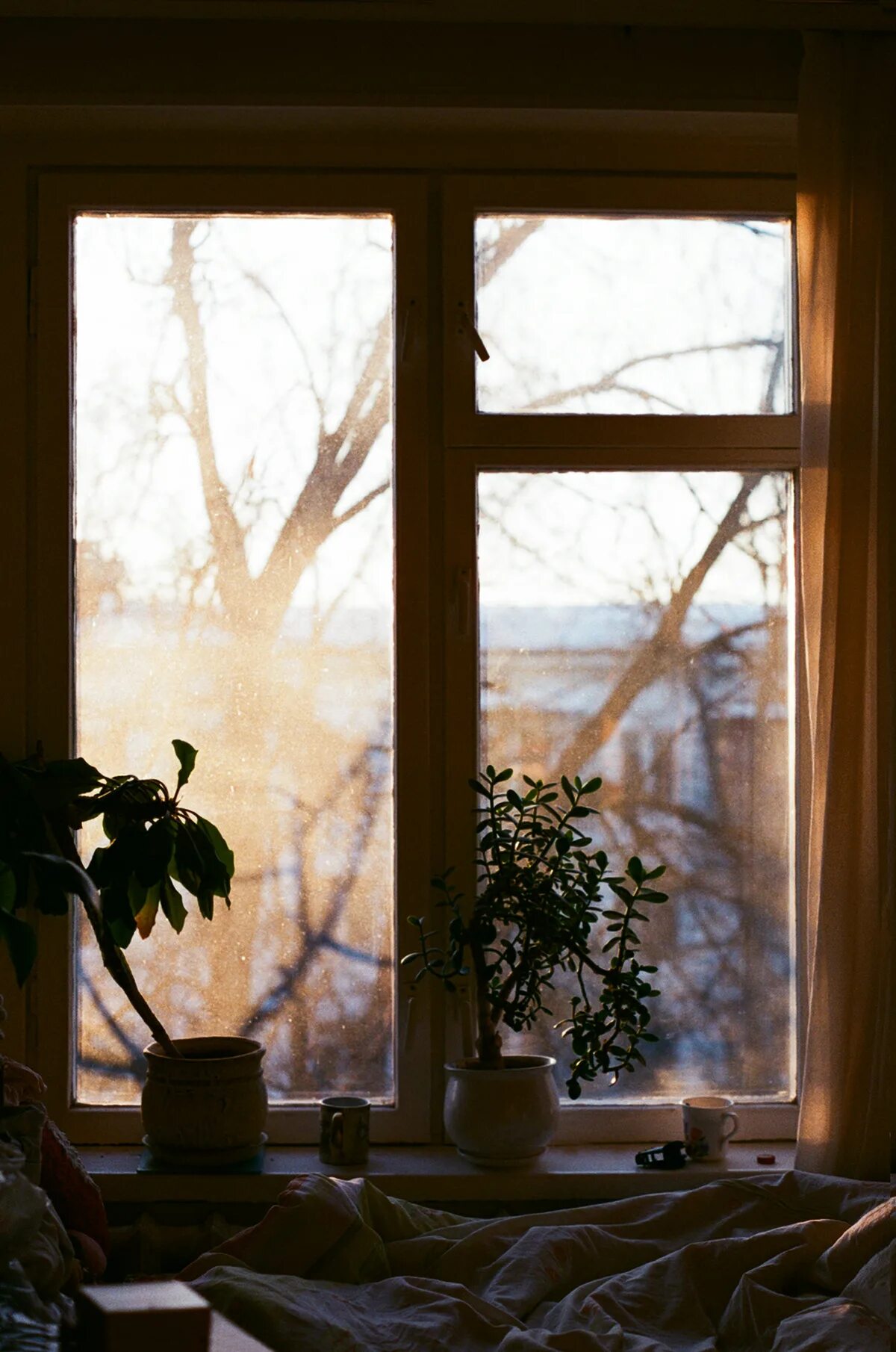 Год окну жизни. Пейзаж в окне. Природа за окном. Окно жизни. Живые окна.