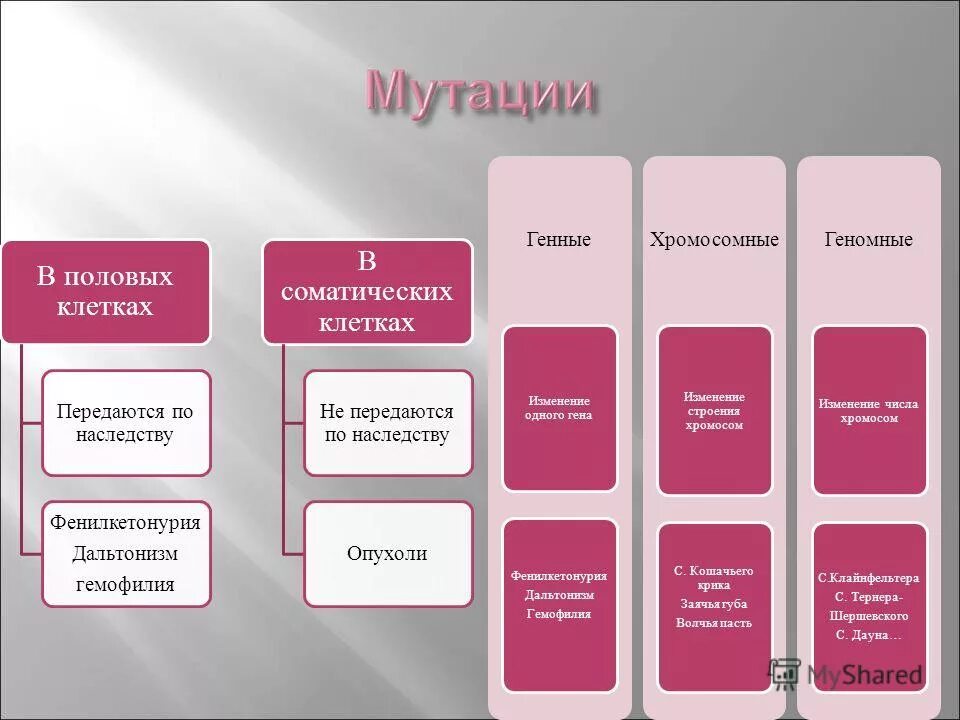 Соматические мутации по наследству. Мутации передаются по наследству. соматические мутации передаются по наследству. мутации в половых клетках передаются по наследству. не передаются по наследству мутации:.