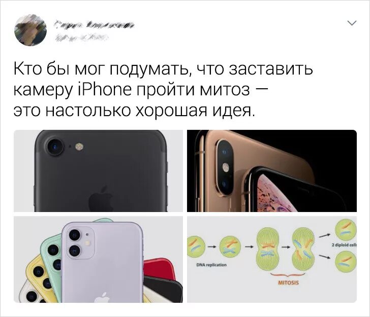 Чем отличается 15 про от 15 айфона. Эволюция камер айфона. Iphone 11 камеры отличия. Айфон 3 камеры мемы. Деление камер айфона.