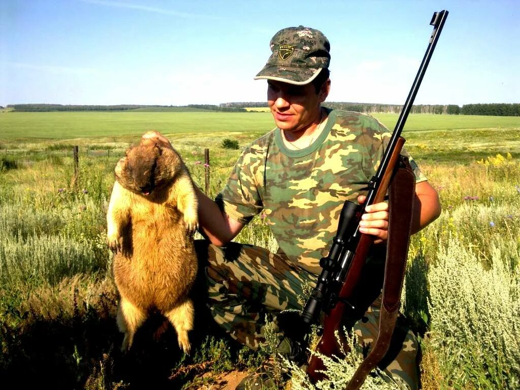 Охота на байбаков. Охота на байбака в воронежской. Охота на байбаков. Сурок-байбак варминтинг. Охота на байбаков.