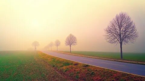 Foggy coming into my dream