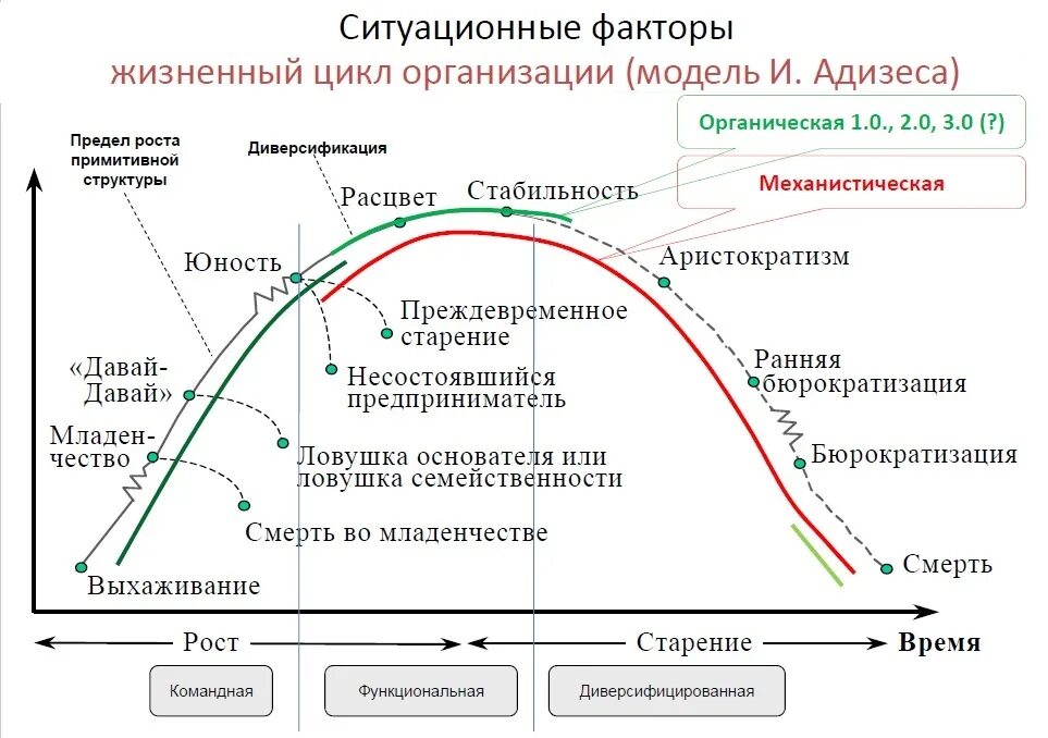 Этапы роста организации. Этапы жизненного цикла фирмы. Этапы развития жизненного цикла организации. Фазы жизненного цикла фирмы. Стадии жизненного цикла предприятия.