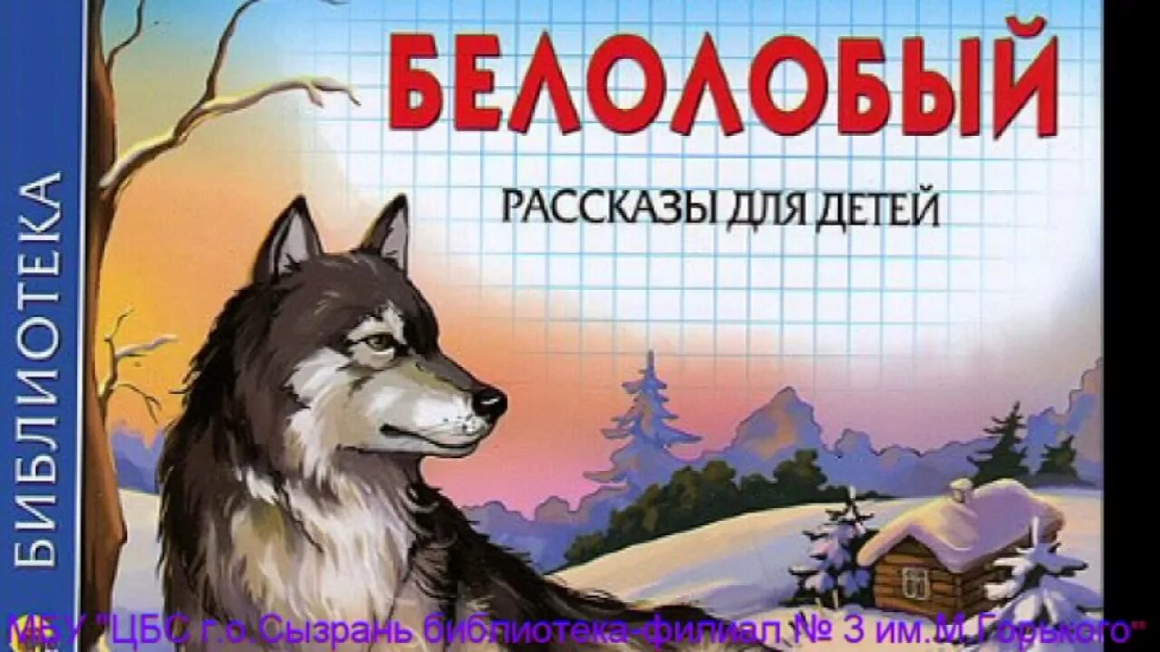 Белолобый. Белолобый Чехов. Каштанка и белолобый. Рассказ Чехова белолобый.