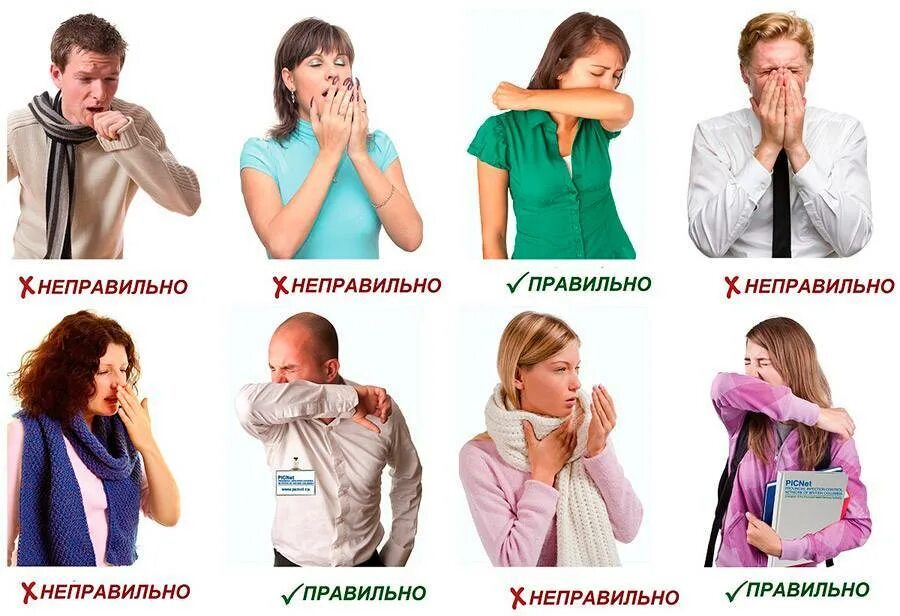 Как правильно чихать. Как правильно чихать и кашлять. Чихать и кашлять. Памятка как правильно чихать и кашлять. Как сдержать чихание.