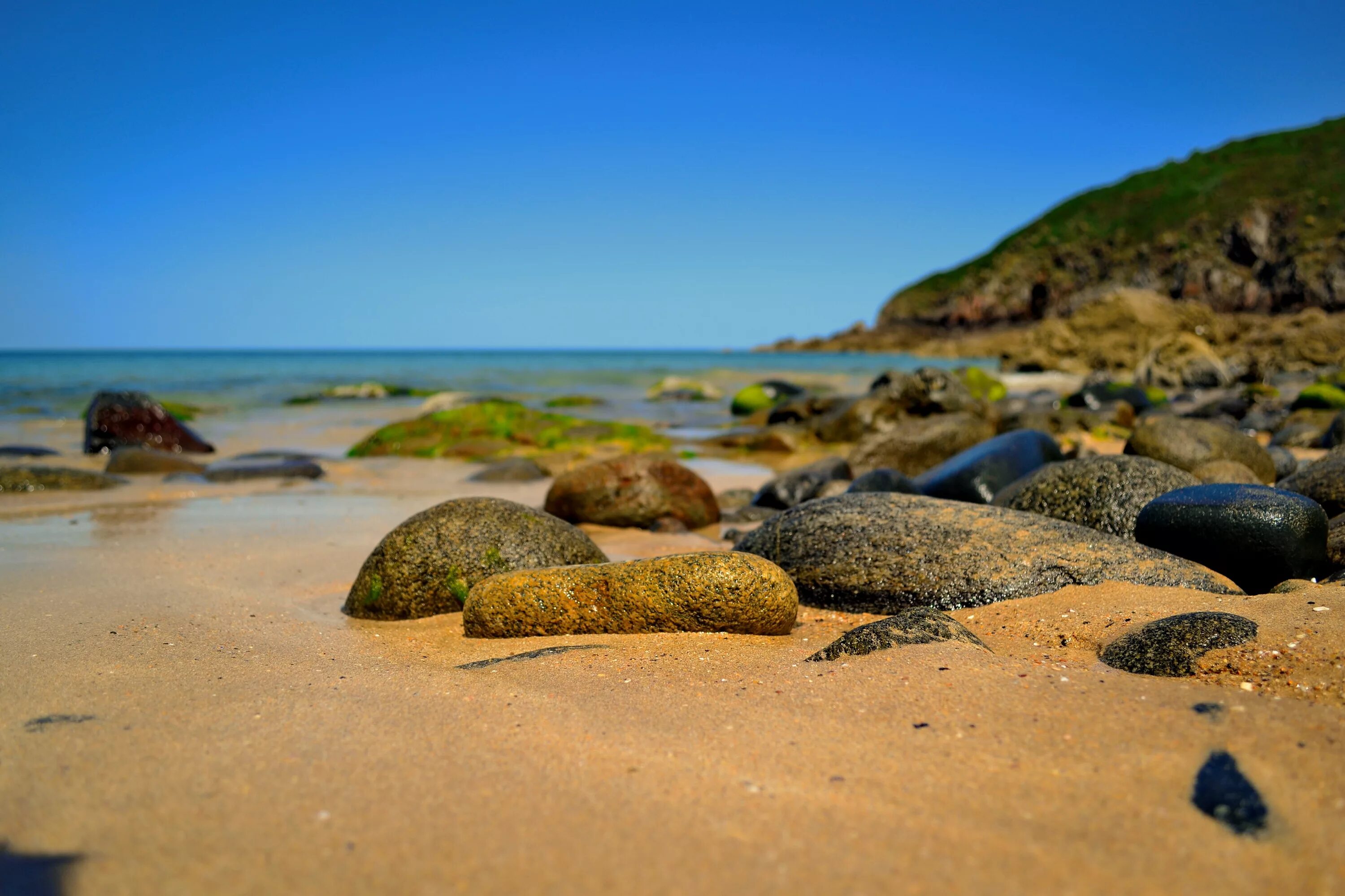 Live near the sea. Море камни. Камни на берегу моря. Камни на пляже. Камни на Песчаном берегу моря.