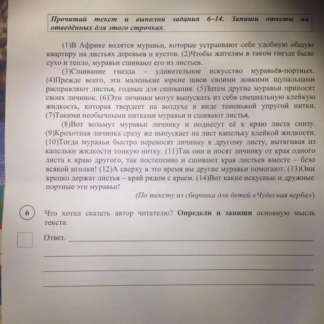 Прочитайте текст пункты на карте города расположенный. Составь и запиши план текста. Главная мысль текста в Африке водятся муравьи. Прочитай текст и выполни задание в Африке водятся муравьи. План к тексту в Африке водятся муравьи которые.