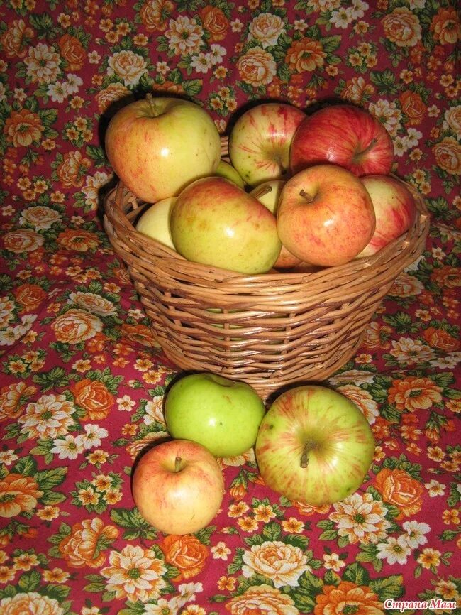2 килограмм яблок. Яблоки в подарок. Чемодан с яблоками. Фото зона с яблоками в чемоданах.