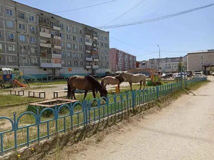202 якутск