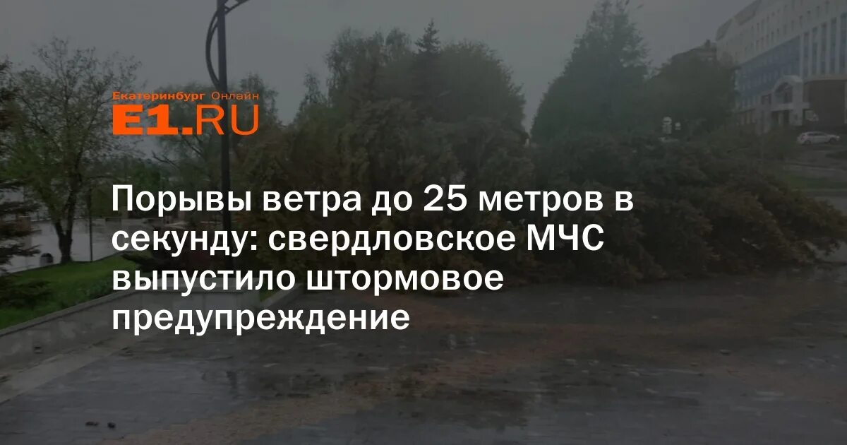 Порывы ветра 27 м/с. Ветер 25 метров в секунду. Если порывы ветра до 30 метров секунду. Прогноз порывов ветра