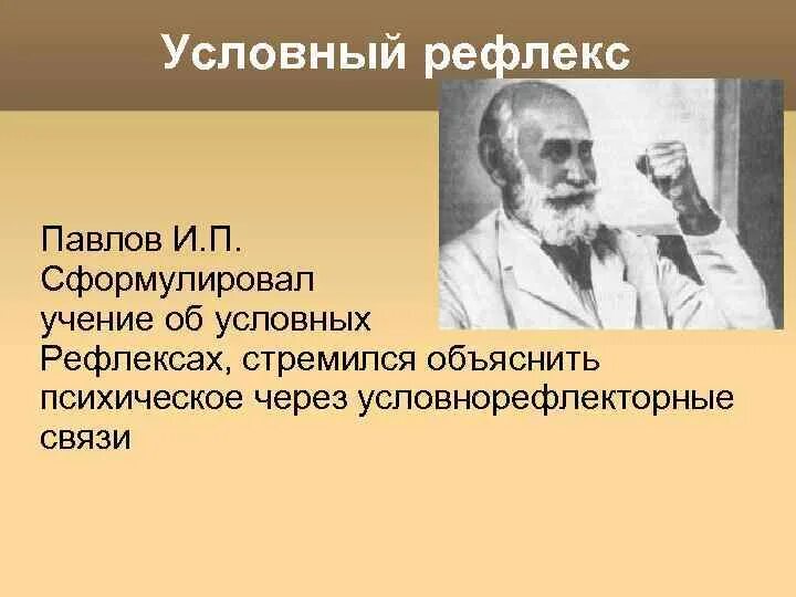 Учение об условных рефлексах. Учение Павлова об условных рефлексах. И П Павлов условные рефлексы.