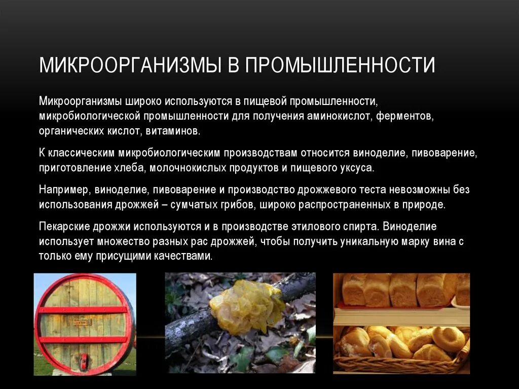 Грибы вызывающие порчу продуктов питания. Использование микроорганизмов в пищевой промышленности. Бактерии используемые в пищевой промышленности. Использование микроорганизмов в промышленности. Использование бактерий в промышленности.