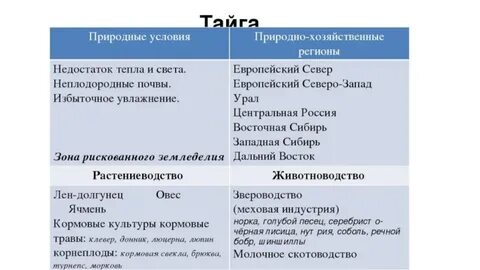 Природная зона специализация