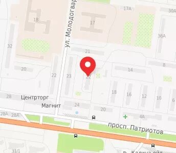 Патриотов 22