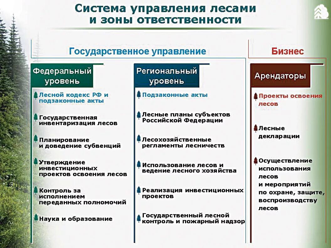 Система управления лесным хозяйством РФ. Система управления лесами. Система государственного управления лесами. Структура управления лесами. Изменения на федеральном уровне