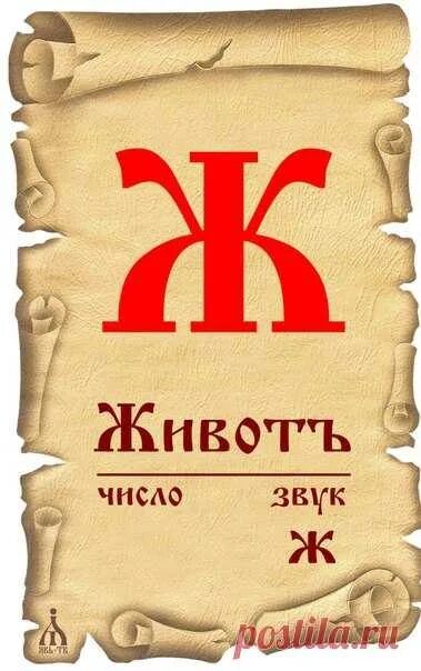 Славянские буквы. Старославянская буква ж. Буквица Славянская ж. Буквица живете. Жили были что означает