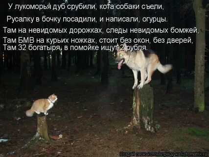 За лесом ничего не было видно