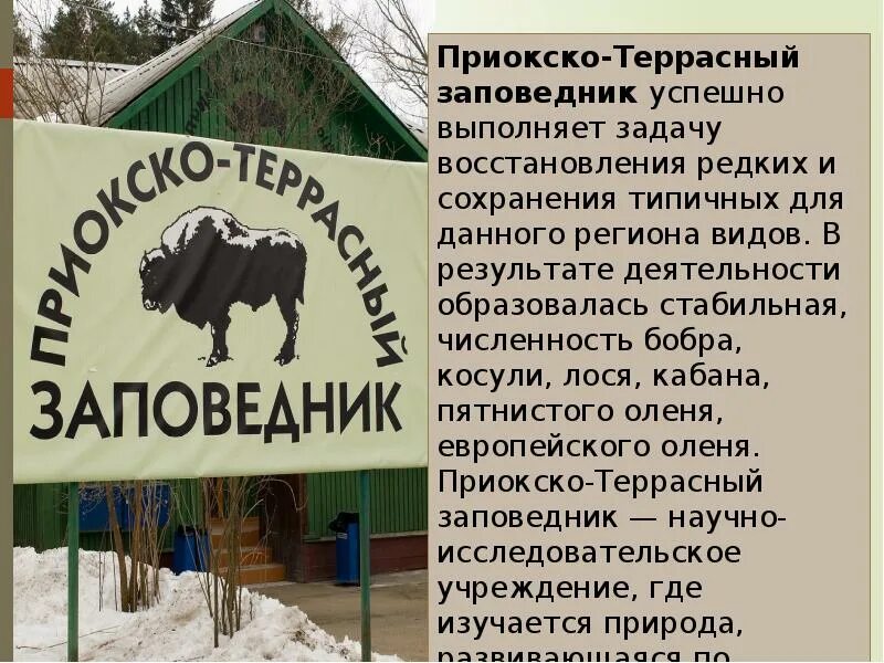 Приокско-Террасный заповедник Серпухов. Приокско-Террасный заповедник проект. Приокско-Террасный заповедник презентация. Приокско-Террасный заповедник доклад.