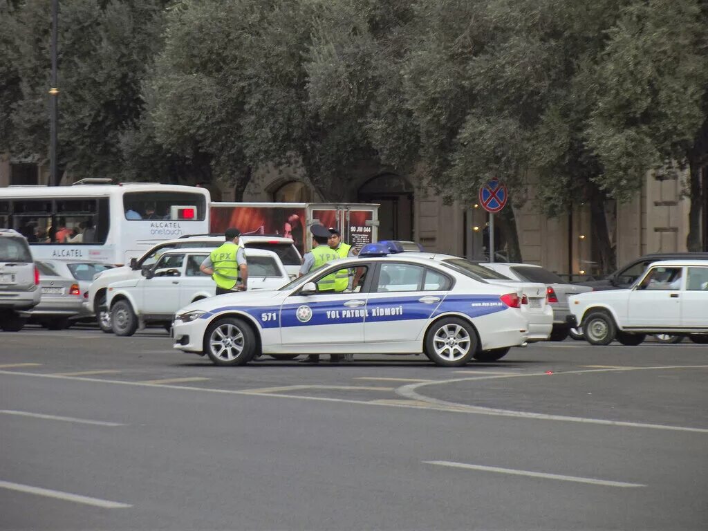 Дорожную полицию кобра