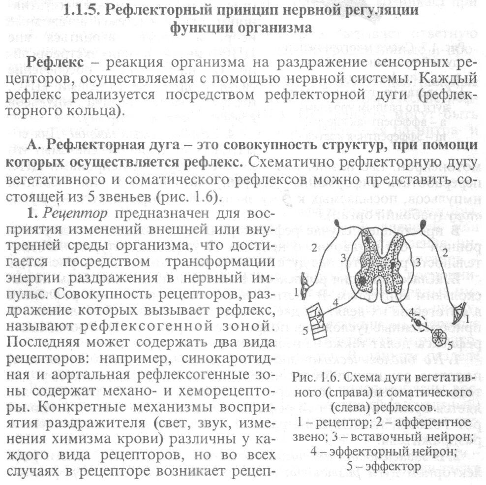 Рефлекторный принцип регуляции. Рефлекторный принцип регуляции функций. Рефлекторный принцип регуляции физиологических функций.. 1. Рефлекторный принцип регуляции функций. Где расположен безусловно рефлекторной регуляции кровяного