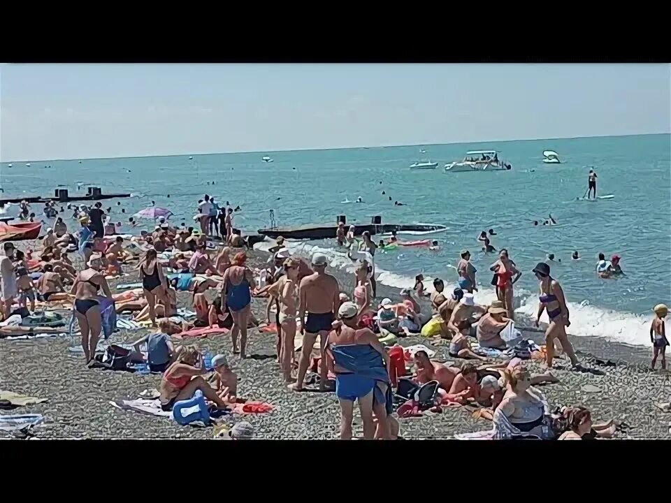 Море сейчас камеры адлера. Пляж чайка 2 адлер. пляж чайка 2025 июль адлер. море в адлере сейчас. южное взморье пляж.