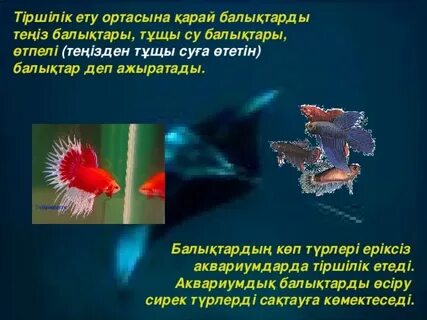 Интернетте мас жалаңаш әйелдерді көру