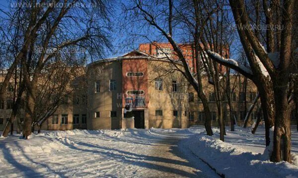 Ул матросова д 2. Ттд королев колледж. техникум технологий и дизайна королев. колледж королёв технологии и дизайна. колледж королев улица матросова.