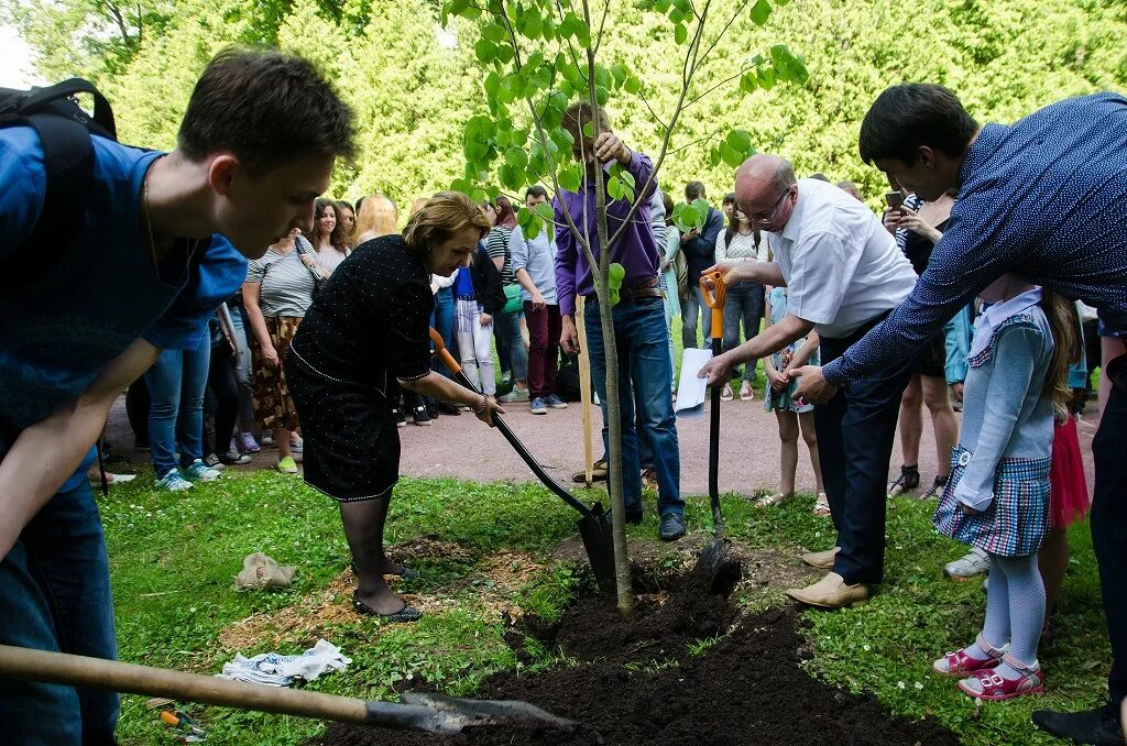 Трухачев ргау мсха. Новости тимирязева. Преподаватели тимирязевской академии в москве. Мсха им тимирязева калуга преподаватели. Новости тимирязева.