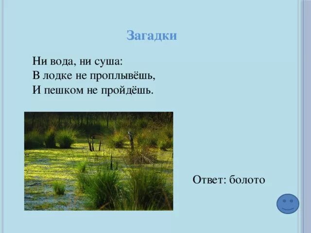 Загадки про болото. Загадка о болоте. Загадки про болота. Загадка о болоте для детей.