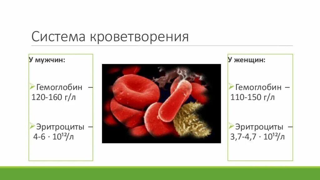 Гемоглобин 160. Гемоглобин 160 у мужчин. Гемоглобин 110/150. Гемоглобин 150 у мужчин.