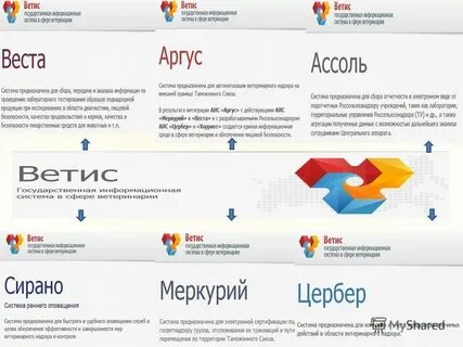 Компонент цербер фгис ветис