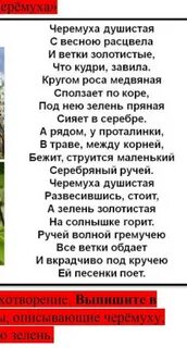 Стихотворение есенина черемуха душистая