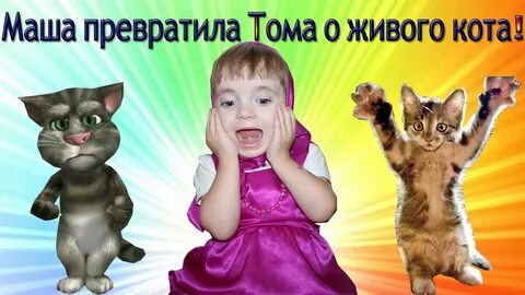 Котики маша