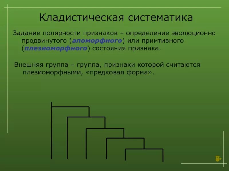 Сайт систематик. Систематика. Эволюционная таксономия. Кладистика. Методы таксономии.