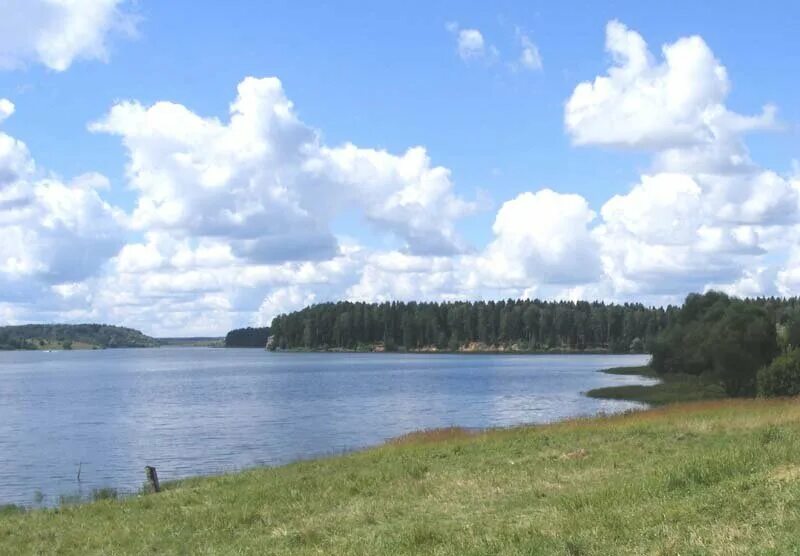 Руза водохранилище пляж. Руза водохранилище. Берег рузского водохранилища. Рузское озеро. Берег рузского водохранилища.