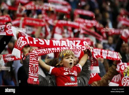 Little fans