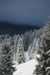 Covered with snow
