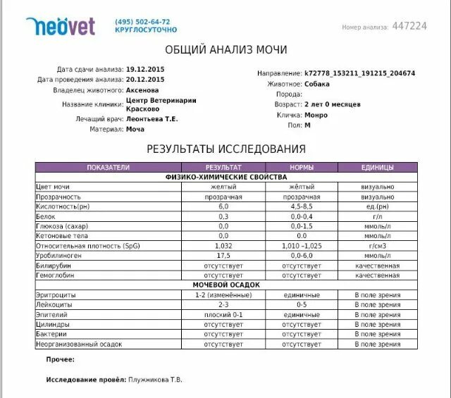 Анализ мочи при панкреатите