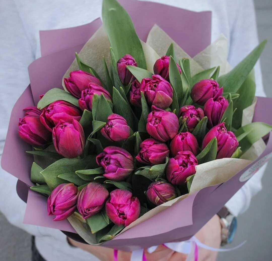 Букет из 101 красного тюльпана. Букет тюльпанов стоит. Букет тюльпанов стоит. Монобукет - тюльпаны. Букет "51 тюльпан".