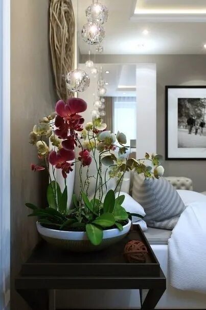 Interiors Etc. Details Orchid centerpieces, Orchids, Floral arrangements