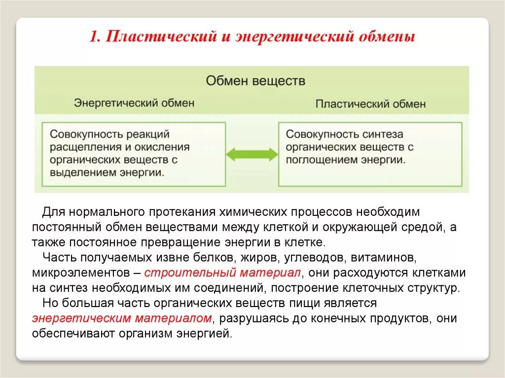 Пластический обмен веществ это процесс. Как связаны между собой пластический и энергетический обмен. Характеристика пластического и энергетического обмена. Особенности пластического и энергетического обмена веществ.. Схема обмена веществ пластический и энергетический обмен.