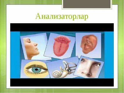 Секс мультифильм ана мен ұлы