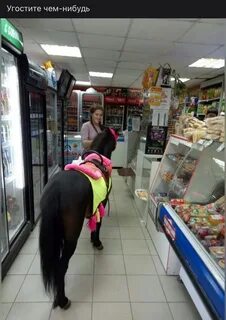 Пермь кг