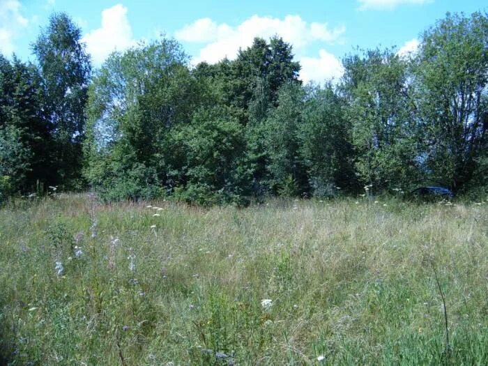 Земля участок 24. Днт ратник. Земля участок 24. Участок 24 сотки. Карьер в районе аксиньино ступинский.